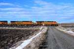 BNSF 7671